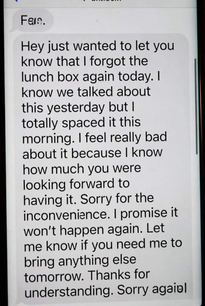 Cropped text screenshot: over-explained apology with typo "sorry forgot the lunch box agian" and rambling excuses.